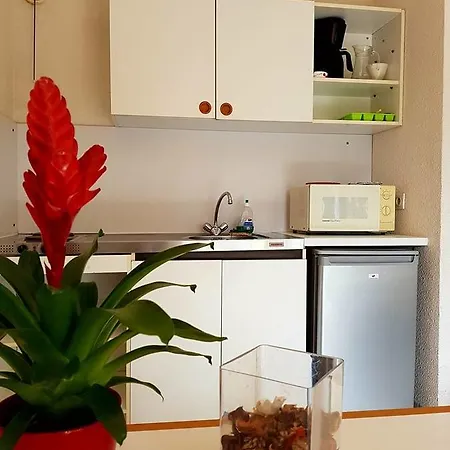 Bear Hostel Port Vendres